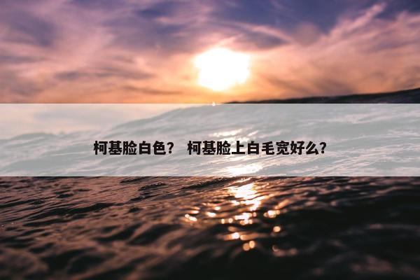 柯基脸白色？ 柯基脸上白毛宽好么？