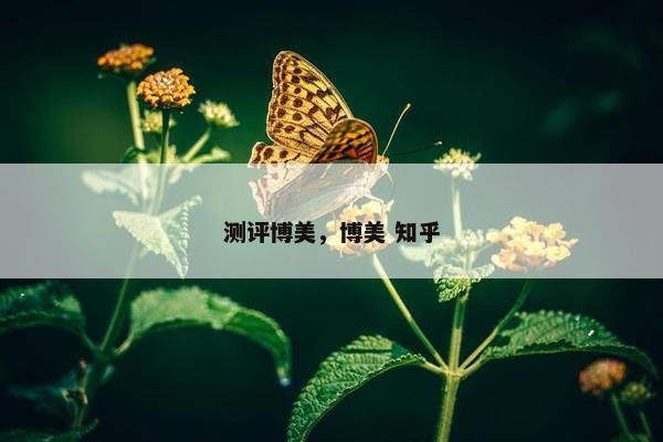 测评博美，博美 知乎