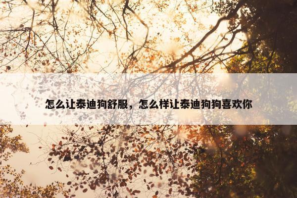 怎么让泰迪狗舒服，怎么样让泰迪狗狗喜欢你