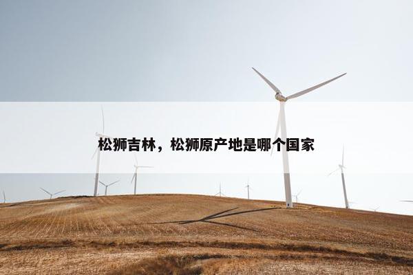 松狮吉林,松狮原产地是哪个国家
