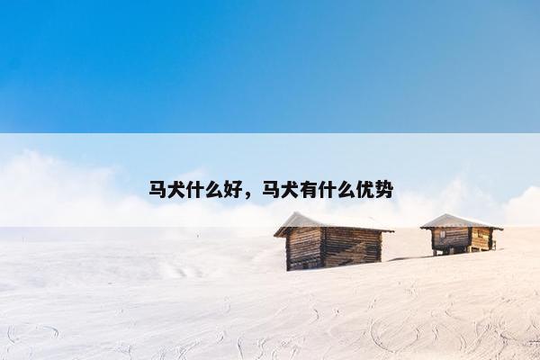 马犬什么好,马犬有什么优势