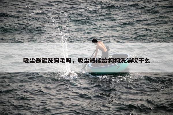 吸尘器能洗狗毛吗，吸尘器能给狗狗洗澡吹干么