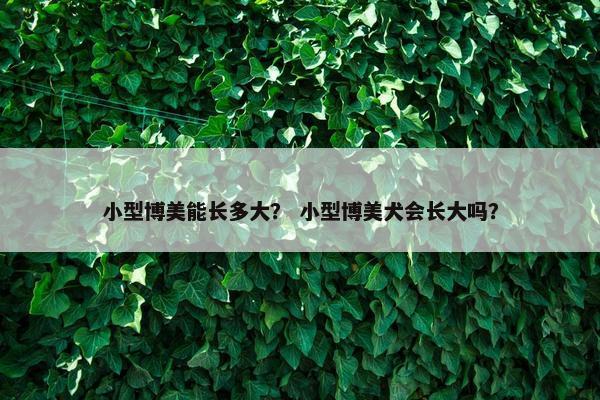 小型博美能长多大？ 小型博美犬会长大吗？