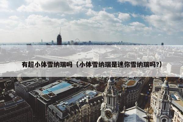 有超小体雪纳瑞吗（小体雪纳瑞是迷你雪纳瑞吗?）
