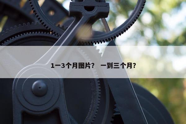 1一3个月图片？ 一到三个月？