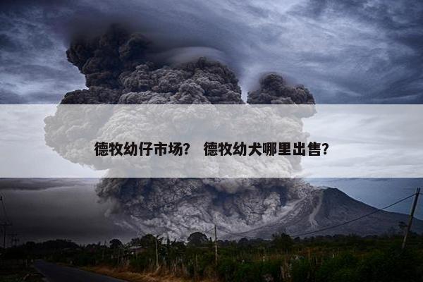 德牧幼仔市场？ 德牧幼犬哪里出售？