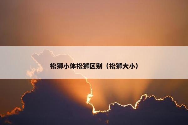 松狮小体松狮区别（松狮大小）