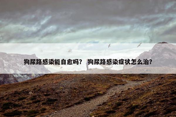 狗尿路感染能自愈吗？ 狗尿路感染症状怎么治？