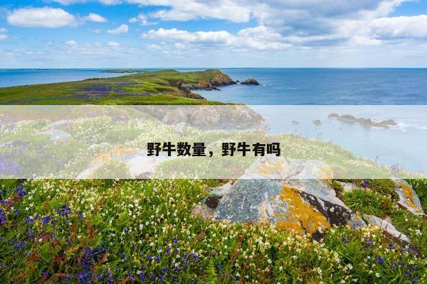 野牛数量，野牛有吗