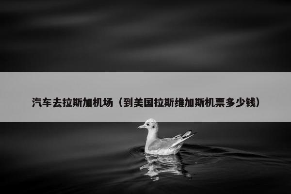 汽车去拉斯加机场（到美国拉斯维加斯机票多少钱）