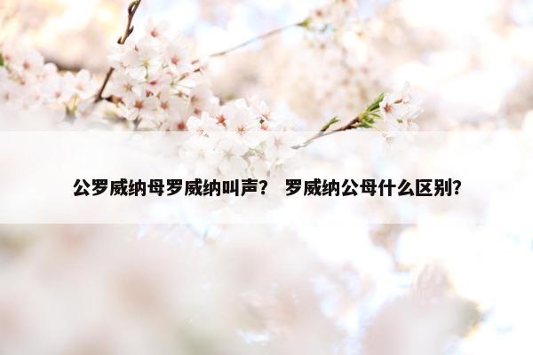 公罗威纳母罗威纳叫声？ 罗威纳公母什么区别？