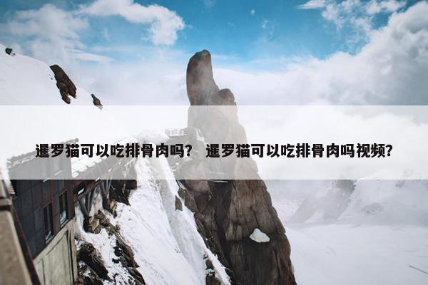 暹罗猫可以吃排骨肉吗？ 暹罗猫可以吃排骨肉吗视频？