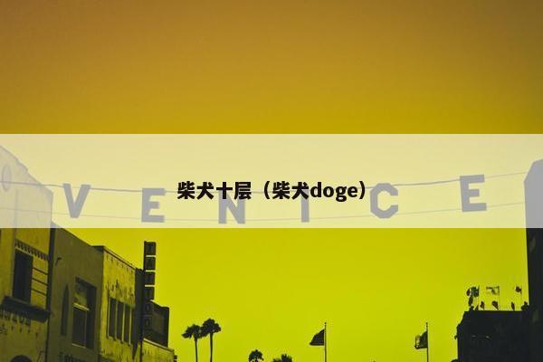 柴犬十层（柴犬doge）