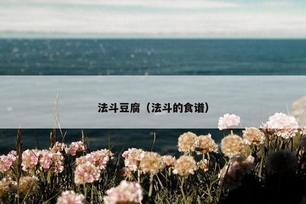 法斗豆腐(法斗的食谱)