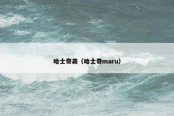 哈士奇袭（哈士奇maru）