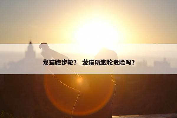 龙猫跑步轮？ 龙猫玩跑轮危险吗？