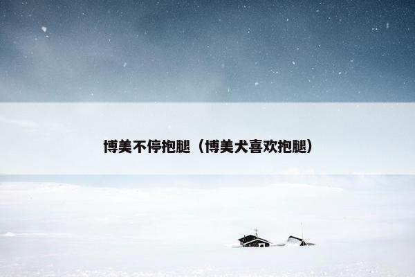 博美不停抱腿(博美犬喜欢抱腿)