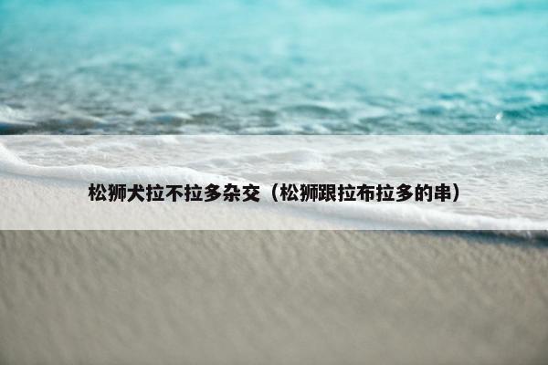 松狮犬拉不拉多杂交（松狮跟拉布拉多的串）