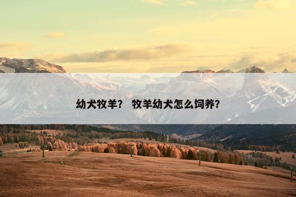 幼犬牧羊？ 牧羊幼犬怎么饲养？