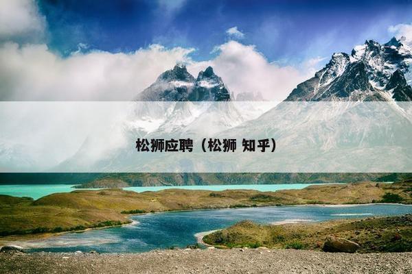松狮应聘（松狮 知乎）