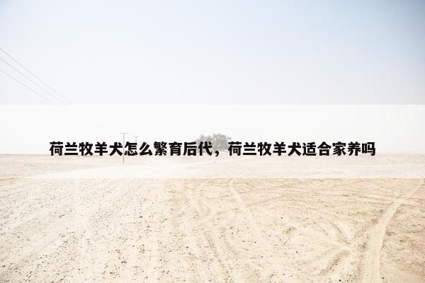 荷兰牧羊犬怎么繁育后代,荷兰牧羊犬适合家养吗