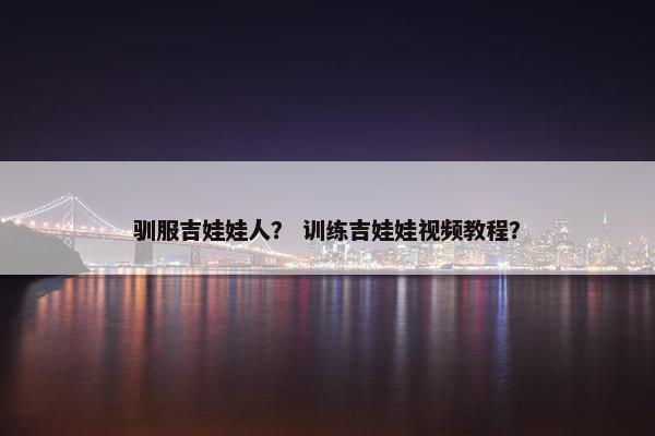 驯服吉娃娃人？ 训练吉娃娃视频教程？