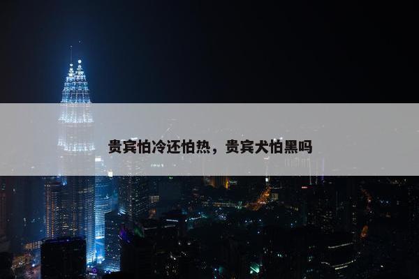 贵宾怕冷还怕热,贵宾犬怕黑吗