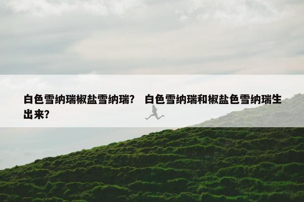 白色 第10页