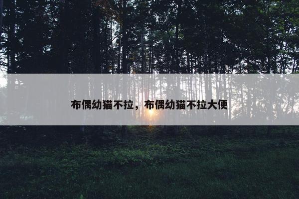 布偶幼猫不拉,布偶幼猫不拉大便