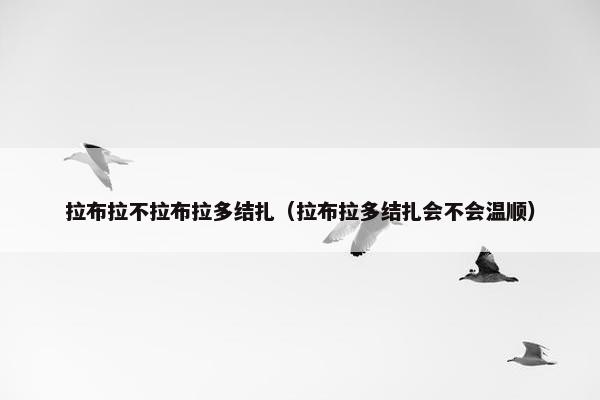 拉布拉不拉布拉多结扎（拉布拉多结扎会不会温顺）