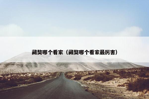 藏獒哪个看家（藏獒哪个看家最厉害）