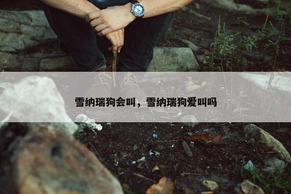 雪纳瑞狗会叫，雪纳瑞狗爱叫吗