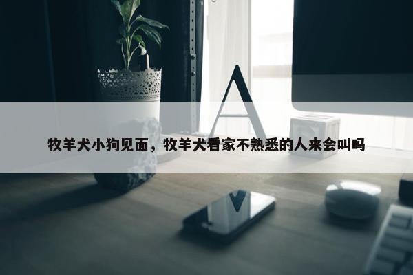 牧羊犬小狗见面，牧羊犬看家不熟悉的人来会叫吗