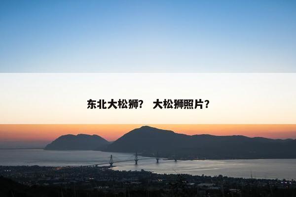 东北大松狮? 大松狮照片?