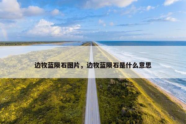 边牧蓝陨石图片，边牧蓝陨石是什么意思