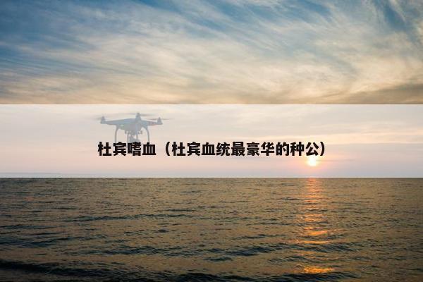 杜宾嗜血（杜宾血统最豪华的种公）