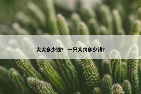 大犬多少钱? 一只大狗多少钱?