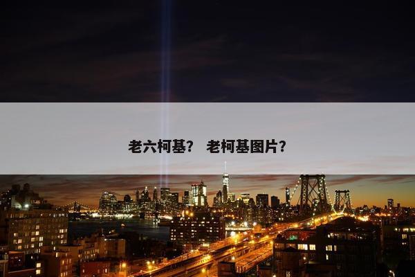 老六柯基? 老柯基图片?
