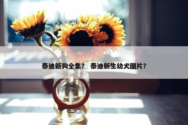 泰迪新狗全集？ 泰迪新生幼犬图片？