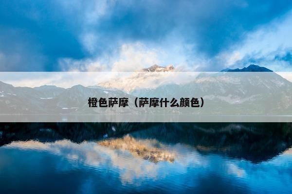 橙色萨摩(萨摩什么颜色)