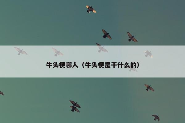 牛头梗哪人（牛头梗是干什么的）