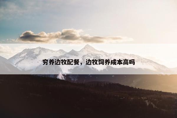 穷养边牧配餐,边牧饲养成本高吗