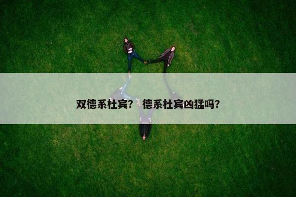 双德系杜宾? 德系杜宾凶猛吗?