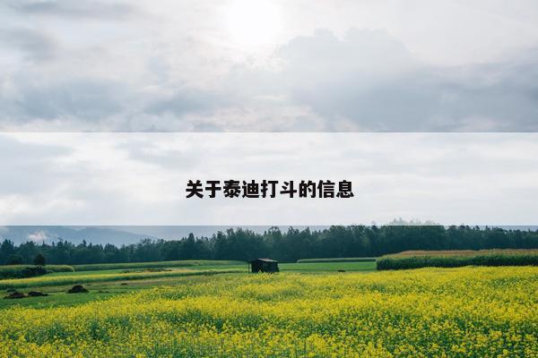 关于泰迪打斗的信息