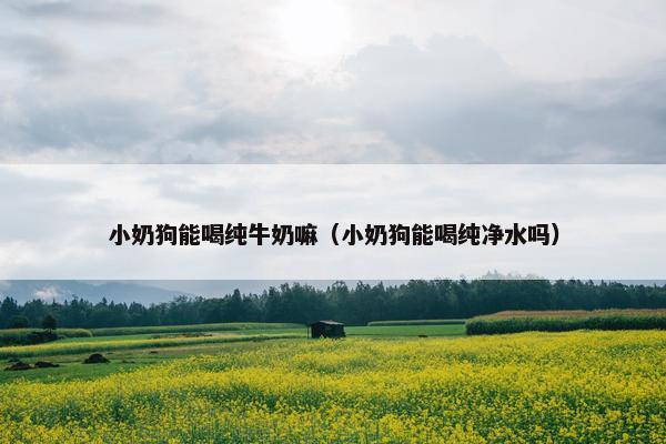 小奶狗能喝纯牛奶嘛（小奶狗能喝纯净水吗）