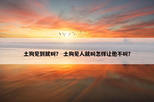 土狗见到就叫？ 土狗见人就叫怎样让他不叫？