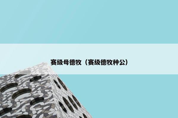 赛级母德牧（赛级德牧种公）