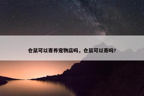 仓鼠可以寄养宠物店吗，仓鼠可以寄吗?