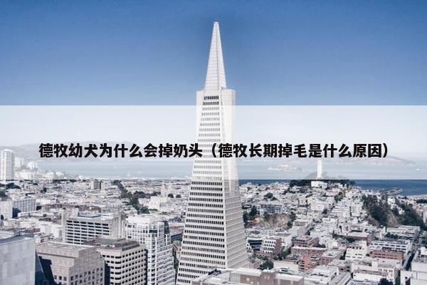 德牧幼犬为什么会掉奶头（德牧长期掉毛是什么原因）