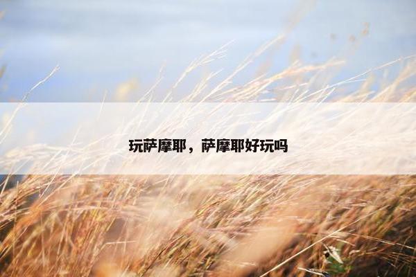 玩萨摩耶,萨摩耶好玩吗